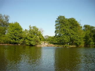 Berlin Spandau, Tour ca. 3 Stunden ab Boots vermietung durch Grimnitzsee, Stölpchensee, Klein Venedig; Bild 02-1