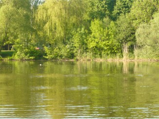 Berlin Spandau, Tour ca. 3 Stunden ab Boots vermietung durch Grimnitzsee, Stölpchensee, Klein Venedig; Bild 03-1