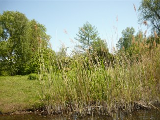 Berlin Spandau, Tour ca. 3 Stunden ab Boots vermietung durch Grimnitzsee, Stlpchensee, Klein Venedig; Bild 15-1