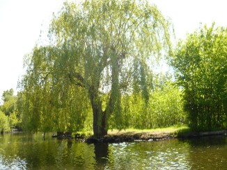 Berlin Spandau, Tour ca. 3 Stunden ab Boots vermietung durch Grimnitzsee, Stlpchensee, Klein Venedig; Bild 17-1