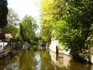 Berlin Spandau, Tour ca. 3 Stunden ab Boots vermietung durch Grimnitzsee, Stlpchensee, Klein Venedig; Bild 19-1